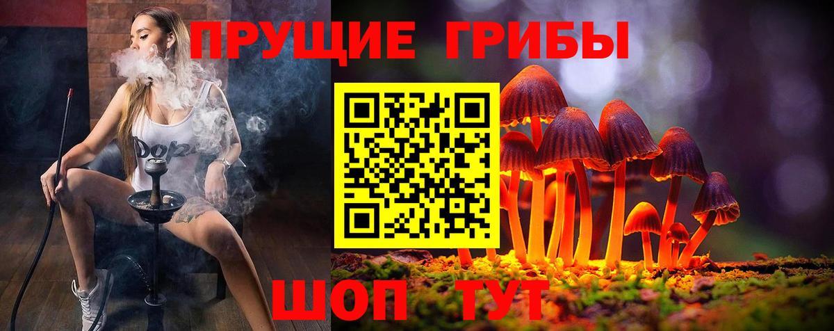 Псилоцибиновые грибы Psilocybe Кандалакша