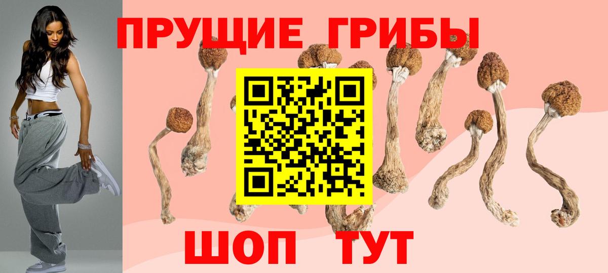 Кандалакша  Псилоцибиновые грибы Psilocybe  Вход с VPN  Псилоцибиновые грибы мицелий 